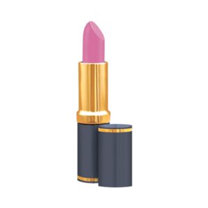 Medora Matte Lipstick Shade #247 Rose Butterfly